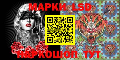 амф Кандалакша