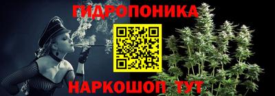 амф Кандалакша