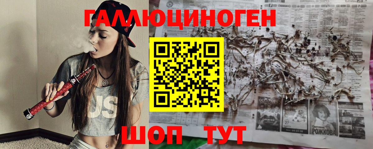 Галлюциногенные грибы MAGIC MUSHROOMS  Вход с VPN  как найти закладки  Дагестанские Огни 