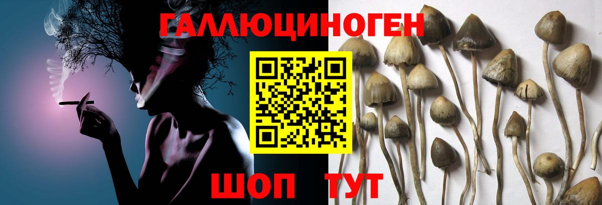 Галлюциногенные грибы мухоморы Дагестанские Огни